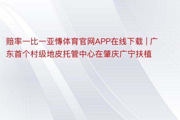 赔率一比一亚慱体育官网APP在线下载 | 广东首个村级地皮托管中心在肇庆广宁扶植