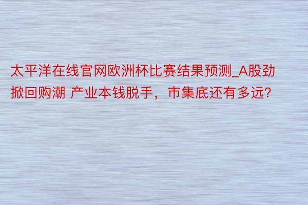 太平洋在线官网欧洲杯比赛结果预测_A股劲掀回购潮 产业本钱脱手，市集底还有多远？