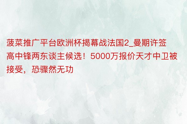 菠菜推广平台欧洲杯揭幕战法国2_曼期许签高中锋两东谈主候选！5000万报价天才中卫被接受，恐骤然无功