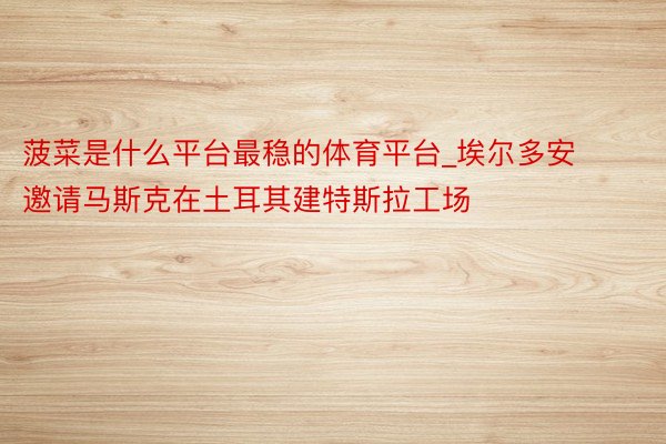 菠菜是什么平台最稳的体育平台_埃尔多安邀请马斯克在土耳其建特斯拉工场